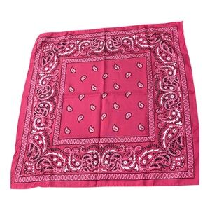 Pink Handkerchief / Twilly